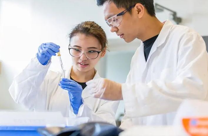 生物医学课程可以找老师辅导吗？