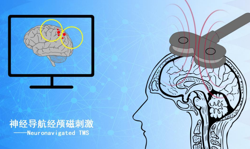 神经科学笔试太难怎么办？(神经科学考研考数学吗)