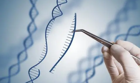 基因学难吗？(基因研究学什么专业)