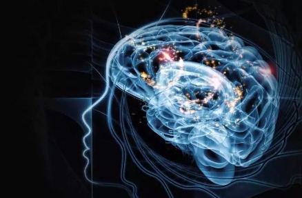 Data Analysis of Psychology in R课程感觉太难？探讨解决方案与辅导选择！