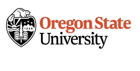 oregon state university大三会计课程学起来很难？海外课程辅导让留学更进一步！