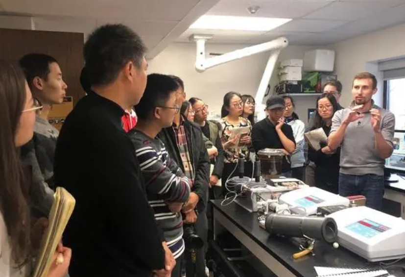 温莎大学课程学习起来难不难？(温莎大学真实情况)