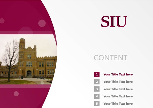 Southern Illinois U-Carbondale课业课程是不是很难？哪里辅导比较靠谱？