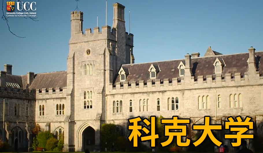 科克大学选课注意事项-先到先得吗？