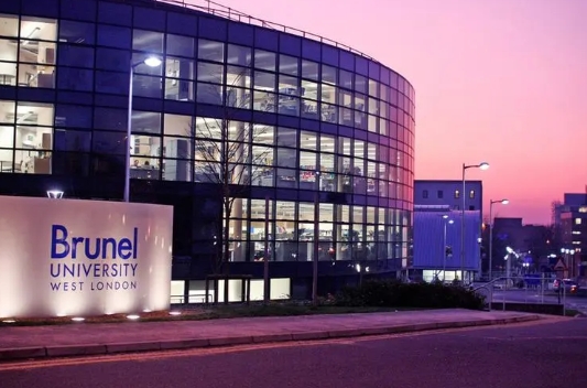 Brunel University大二课程难度太高学不会？辅导是否能够化解挑战？