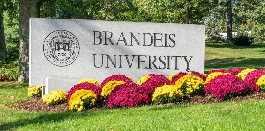Brandeis University课业课程拿高分不轻松，有没有可以辅导的老师？