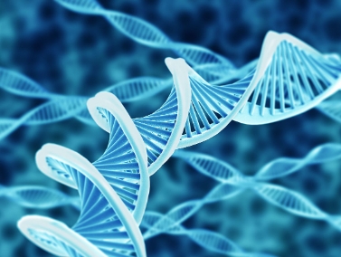 Biology一对一课程成绩太低不满足，怎么做才能提分？
