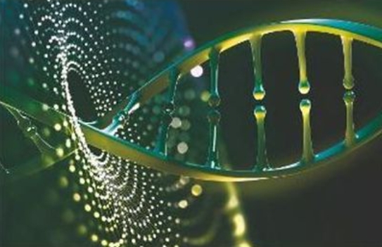 Bioinformatics课程遇到难题？寻求课程辅导的最佳途径！