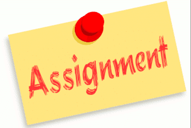 assignment迟交怎么办?