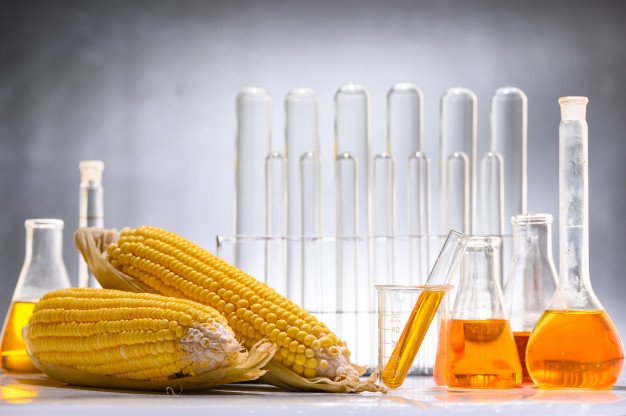 科克大学Food Science食品科学辅导