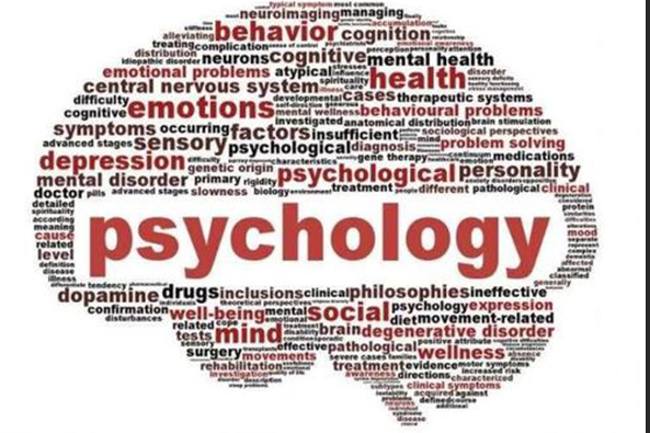 IB DP心理学HL考试复习重点提示和知识点汇总