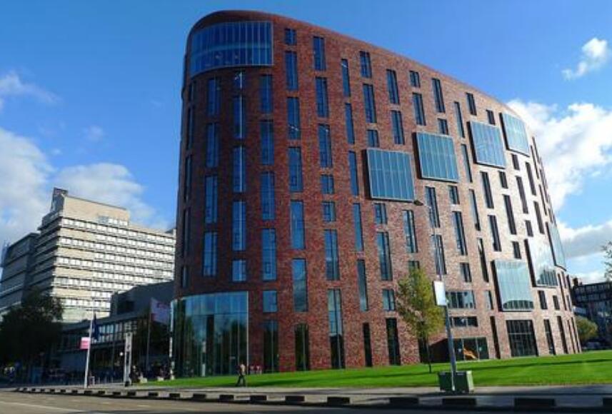 阿姆斯特丹自由大学人力资源管理辅导