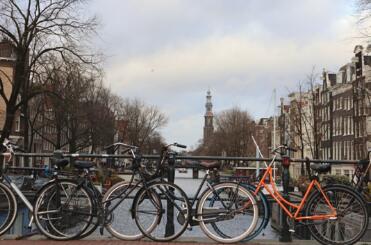 荷兰阿姆斯特丹自由大学 Vrije Universiteit Amsterdam人力资源管理挂科辅导