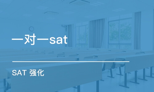 sat2物理