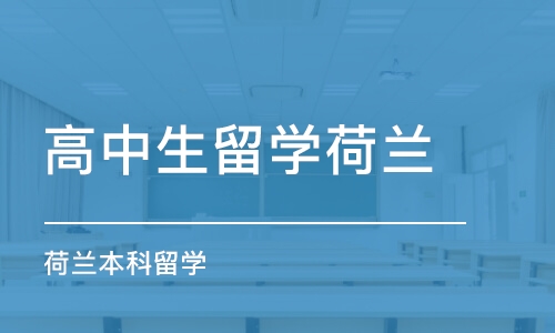 荷兰本科留学专业课程一对一辅导