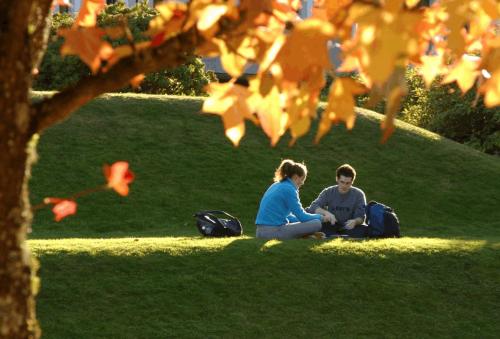 留学生如何写好essay？