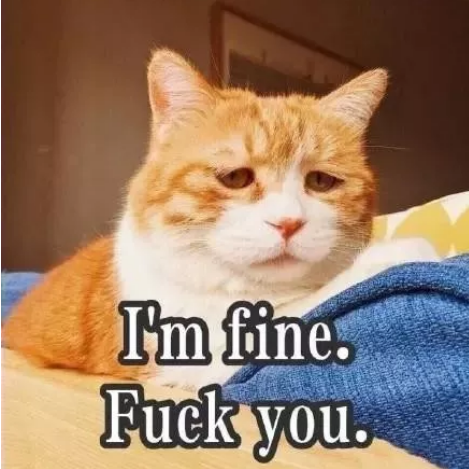 留学海外课程辅导：国外有补习班吗？