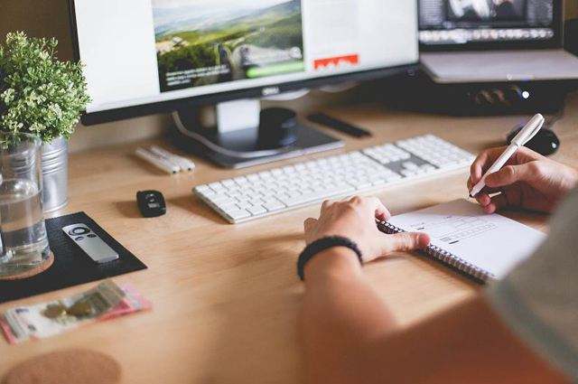 Essay和report有什么区别？