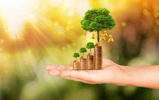 如何获得ACCA认证？