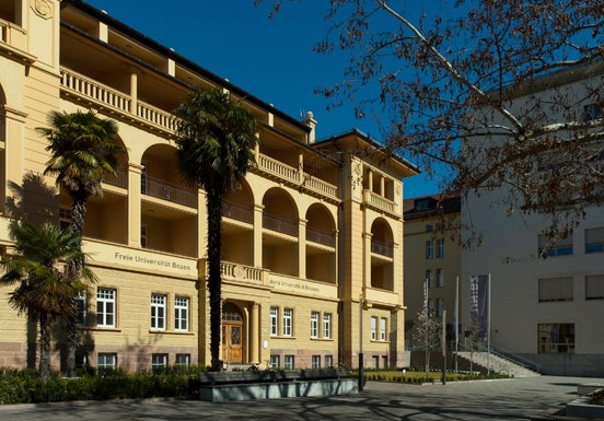 经济学原理作业考察什么内容?