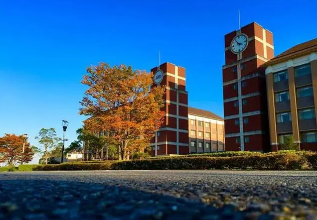 日本宏观经济学论文选题指导