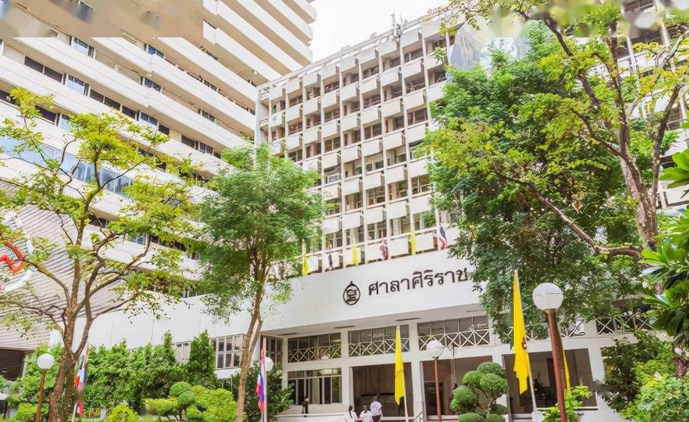 泰国玛希隆大学土木工程硕士课程内容及结构安排建议