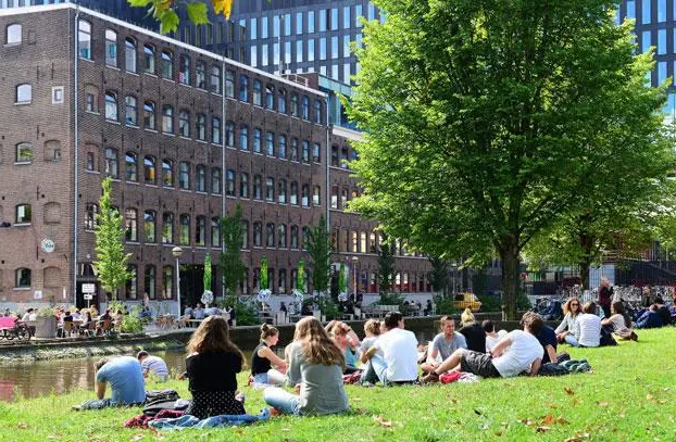 荷兰本科有机化学学习四大实用技巧分享