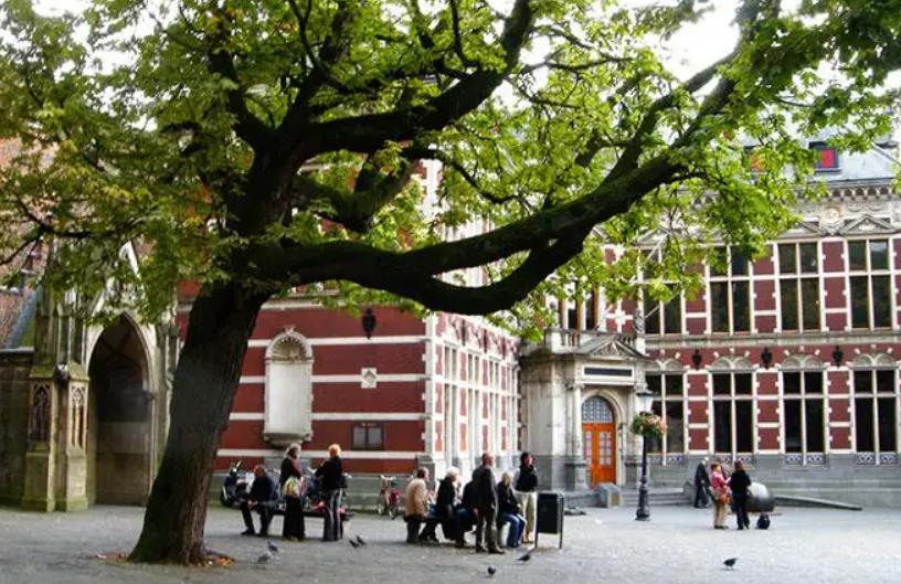 荷兰乌得勒支大学医学专业面试要点汇总