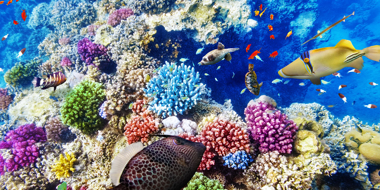 瓦格宁根大学海洋科学专业都学什么呢？