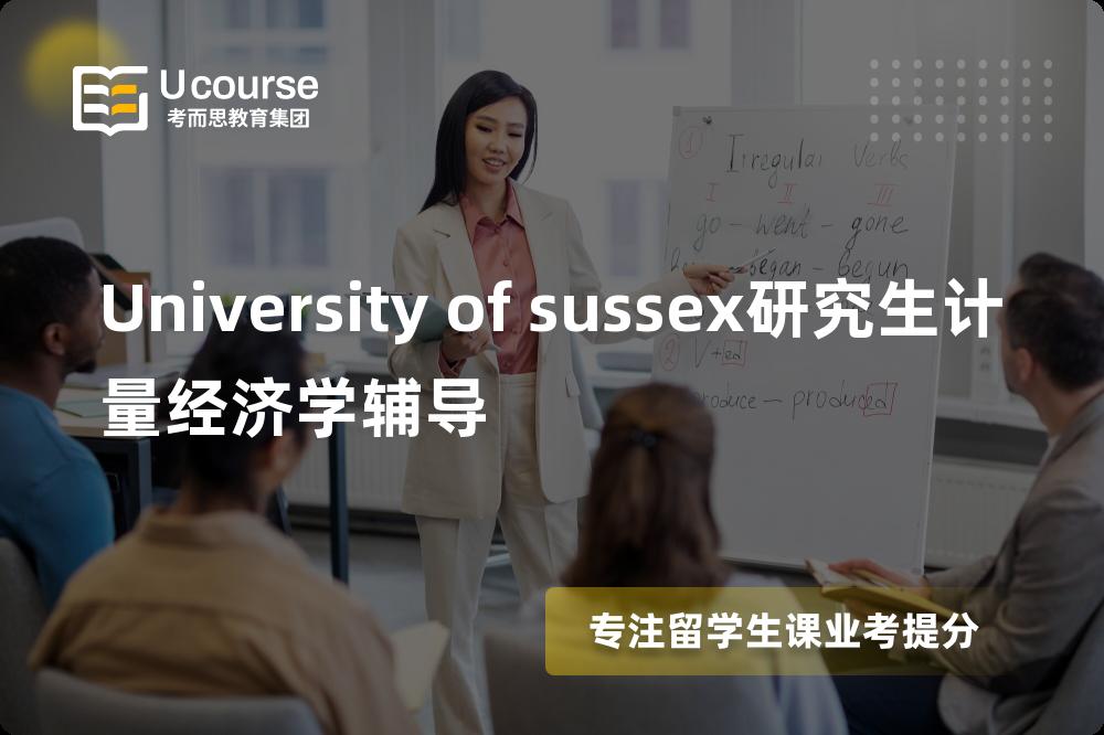 University of sussex研究生计量经济学辅导机构有那些？