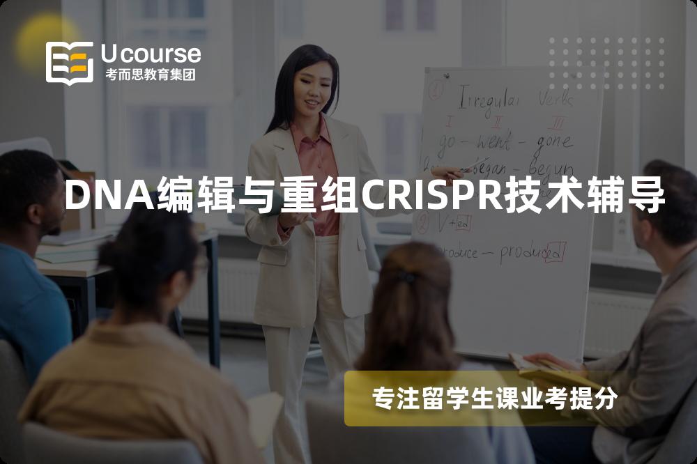 DNA编辑与重组CRISPR技术辅导一对一怎么选择？