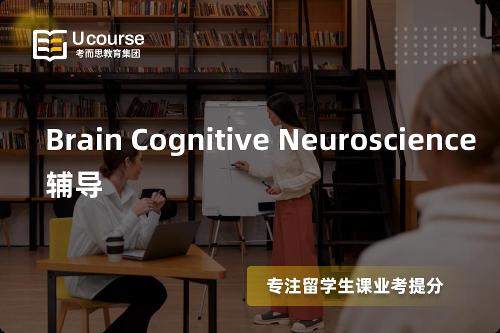 Brain Cognitive Neuroscience辅导多少钱？那个机构靠谱？