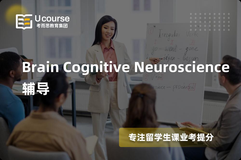 Brain Cognitive Neuroscience辅导机构有那些？