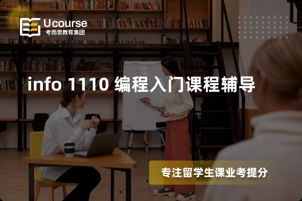 info 1110 编程入门课程辅导机构那家好？