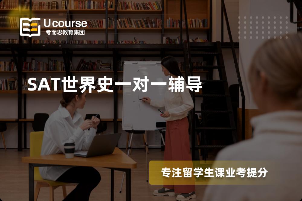 SAT世界史一对一辅导机构那家好？