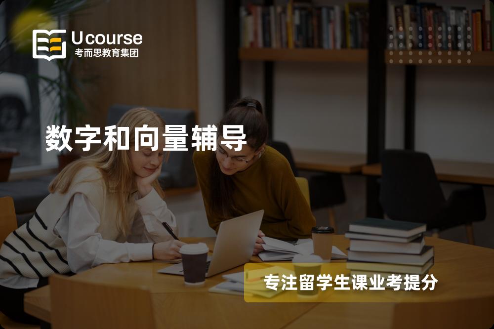 数字和向量辅导怎么样，如何选择机构？