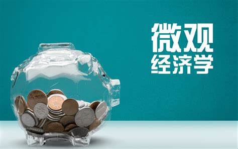 微观经济课程辅导机构那里好