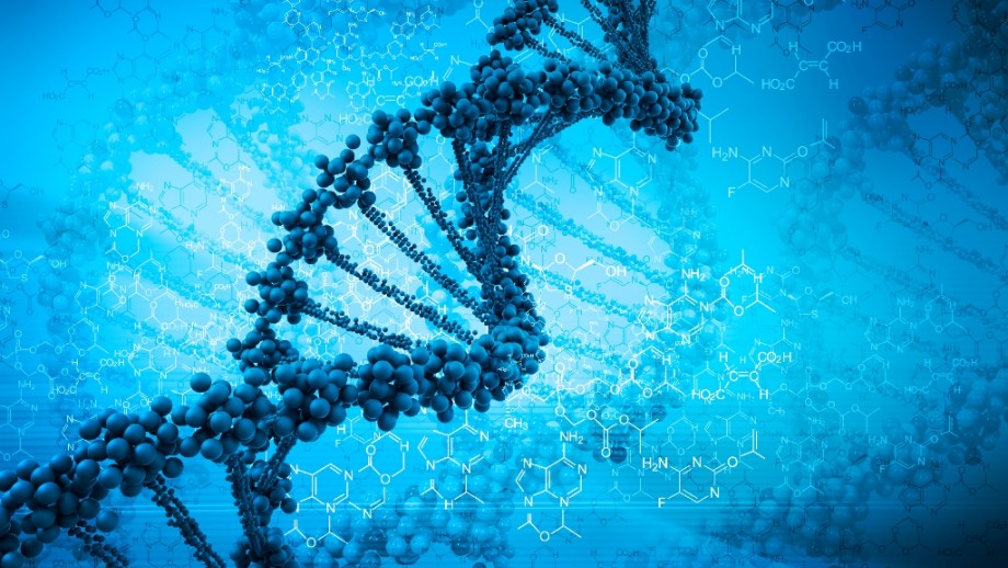 中国香港十年级生物课程教材与内地教材区别