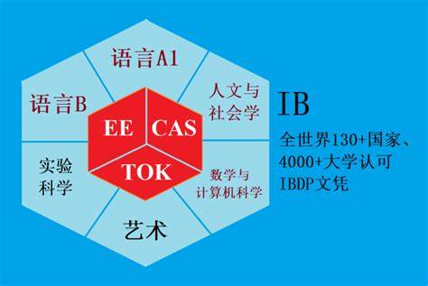 深圳外国语学校IB10年级考前总复习