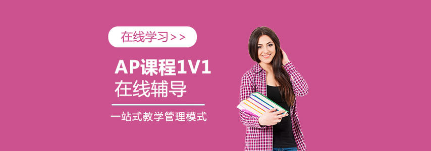 合肥AP数学一对一辅导