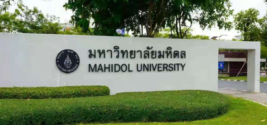 泰国玛希隆大学MBA课程有哪些?课程介绍