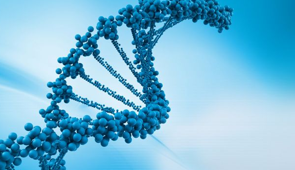 香港都会大学研究生Molecular Diagnostic Technology重点难点分析