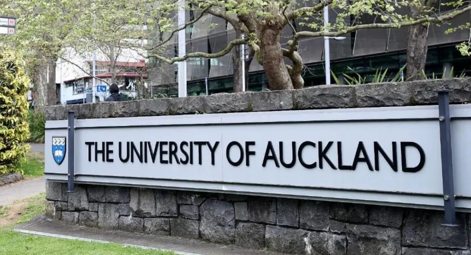新西兰奥克兰大学学业辅导机构哪个比较的好?