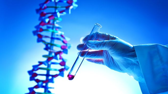 新西兰坎特伯雷大学Biochemistry生物化学辅导