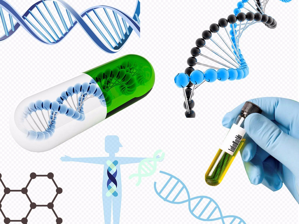 奥克兰大学本科化学和微生物课程的学术文章分享