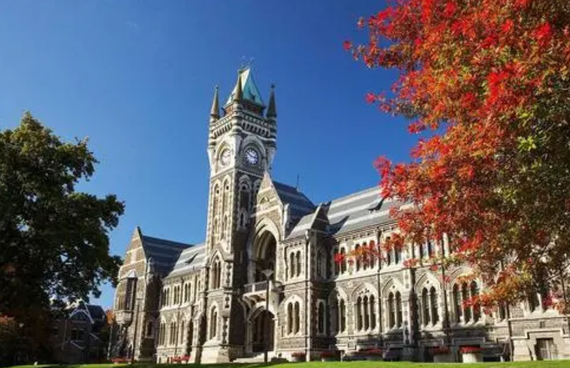 奥塔哥大学管理学专业怎么样?学习哪些课程?