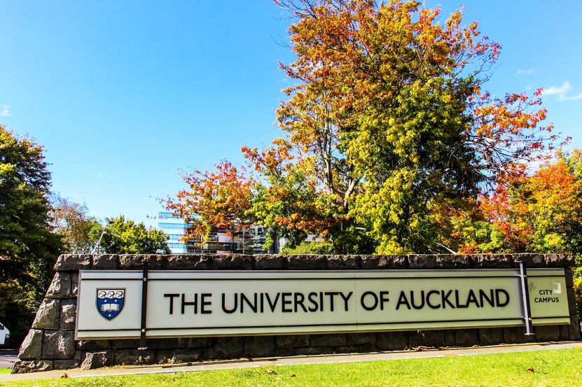 新西兰奥克兰大学property房地产专业大二核心课程考试技能要求