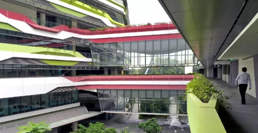 新加坡科技设计大学选课要求是什么？