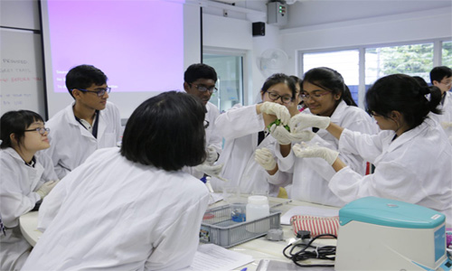 共和理工学院应用科学学院专业特点详情