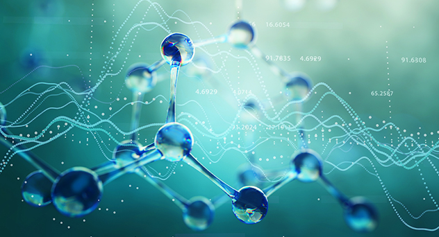 新加坡南洋理工大学Biological Sciences生物科学辅导